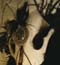 headdress thumb